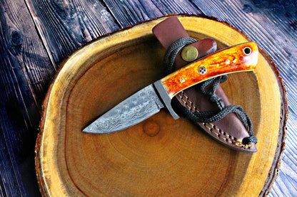 Damascus Steel Fixed Blade Hunting Knife With Damascus Hilt Titan Drop Point Hunter TD-077