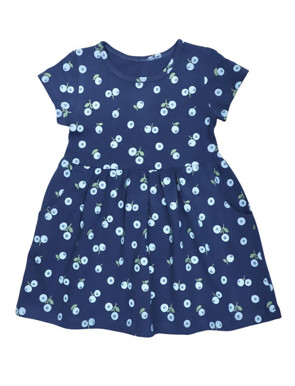 Little Blueberry Organic Twirl Dress
