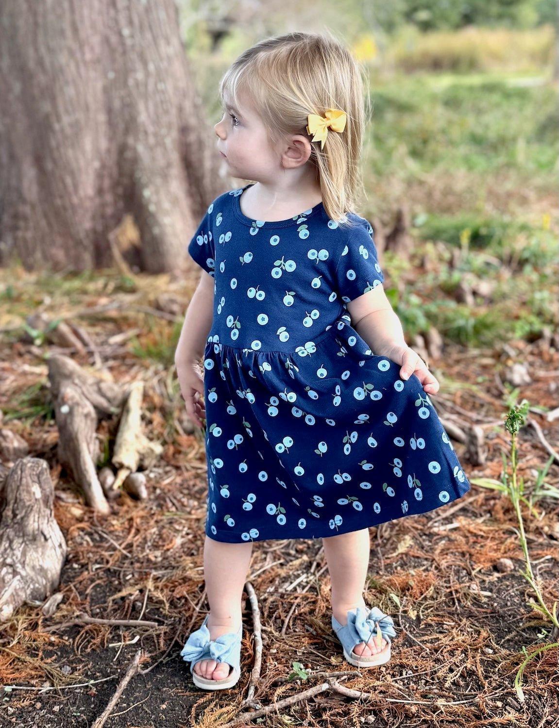 Little Blueberry Organic Twirl Dress