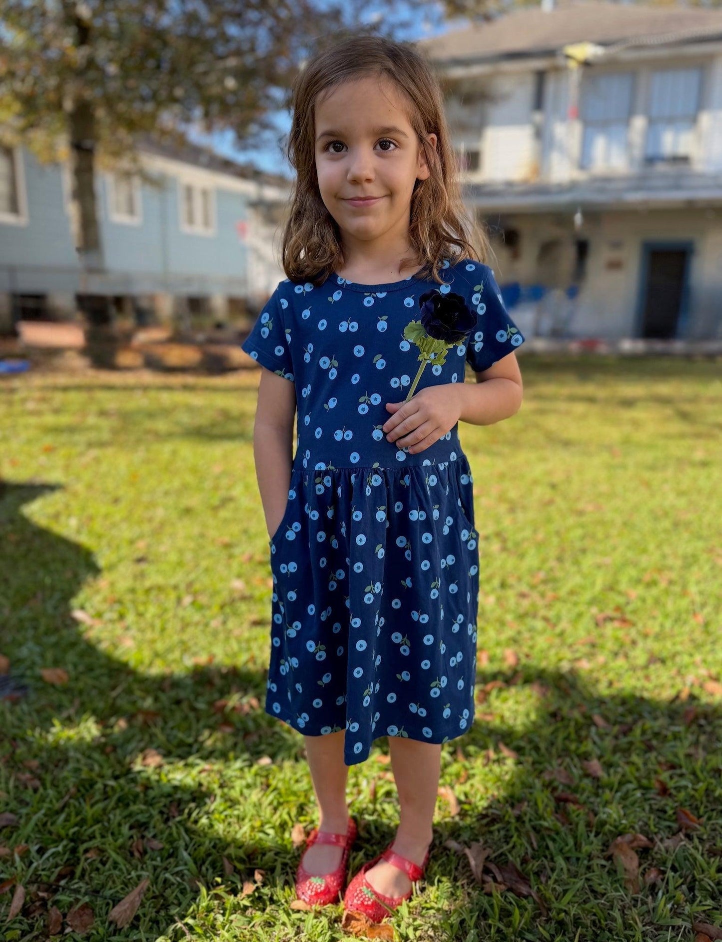 Little Blueberry Organic Twirl Dress