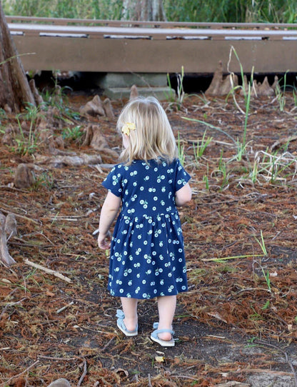 Little Blueberry Organic Twirl Dress