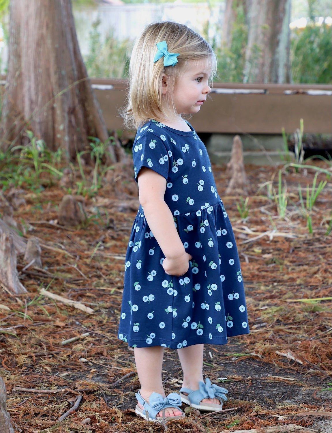 Little Blueberry Organic Twirl Dress