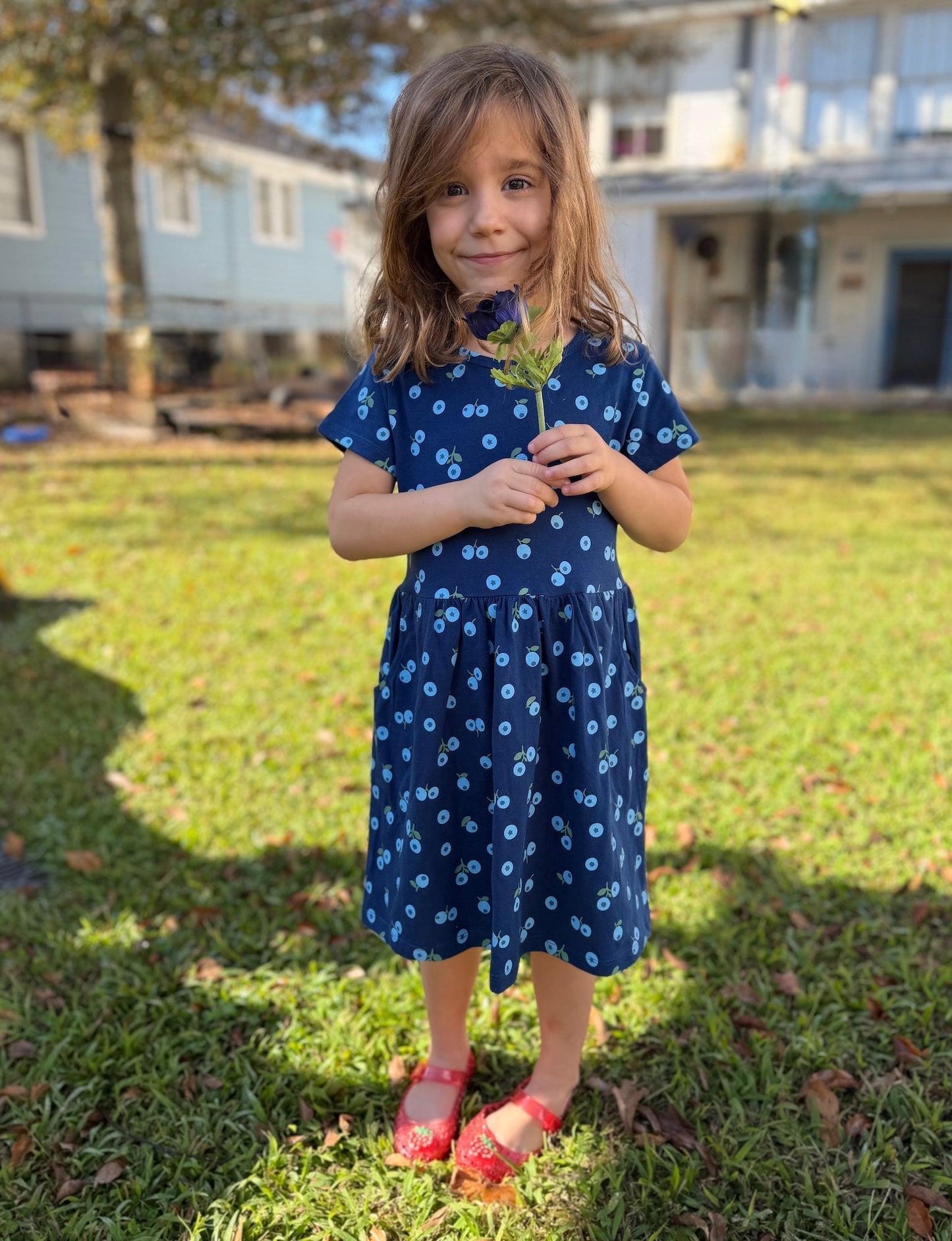 Little Blueberry Organic Twirl Dress