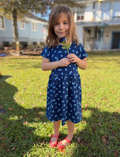 Little Blueberry Organic Twirl Dress