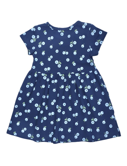 Little Blueberry Organic Twirl Dress