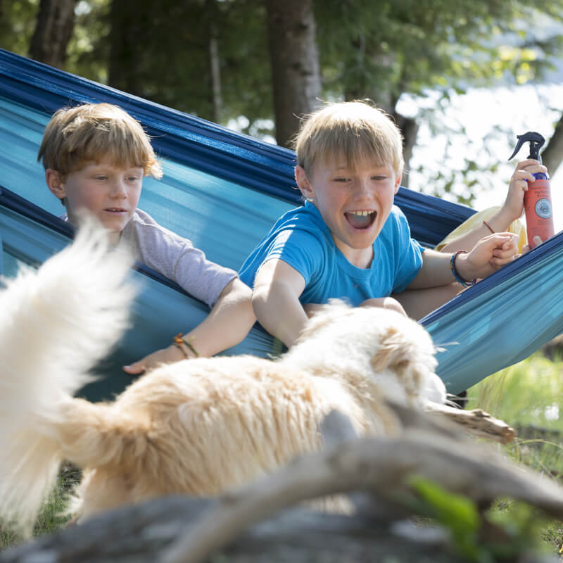 Bug Repellent Spray for Dogs
