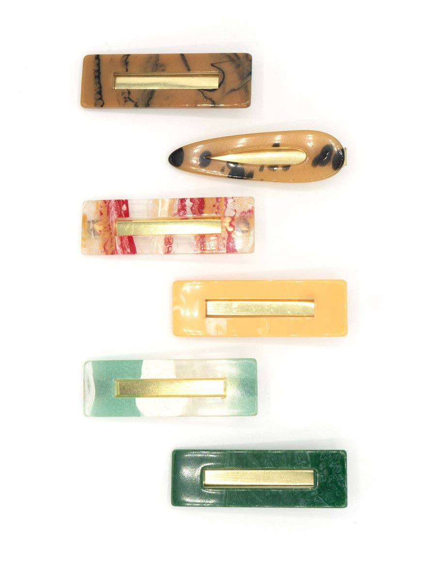Resin Hair Clips Set