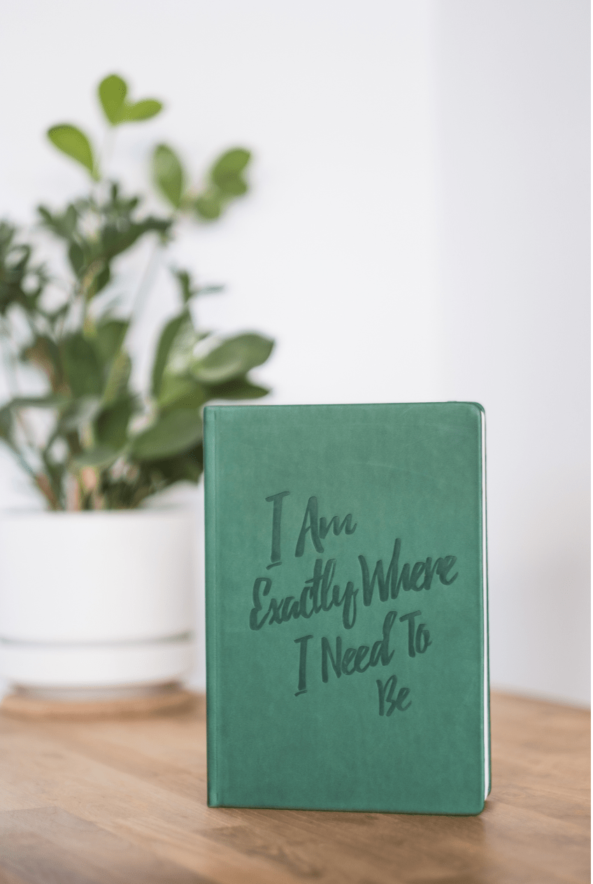 The Guided Gratitude Journal for Stress Relief